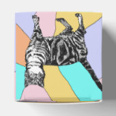 Ballotins Tabby Cat Pastel Anniversaire Chats Ballotin (Haut)