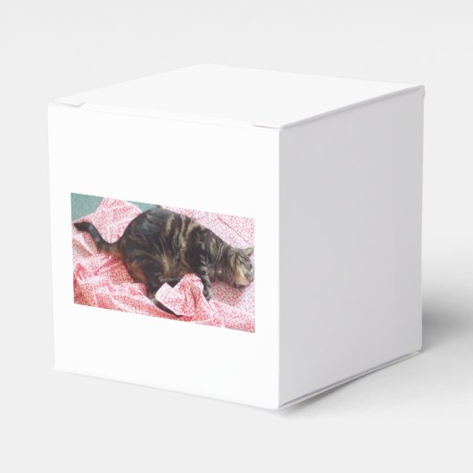 Ballotins Tailor Dave Ballotin (Verso)