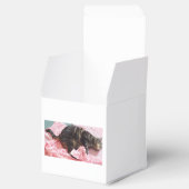 Ballotins Tailor Dave Ballotin (Ouvert)