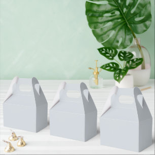 Ballotins Tendance Dusty Bluish Grey - Ballotin