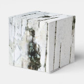 Ballotins Texture d'écorce de bouleau (Arrière)