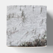 Ballotins Texture d'écorce de bouleau (Haut)