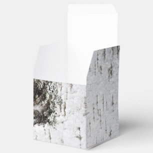 Ballotins Texture d'écorce de bouleau