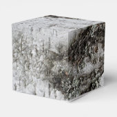 Ballotins Texture d'écorce de bouleau (Arrière)
