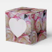 Ballotins Thamar (Verso)