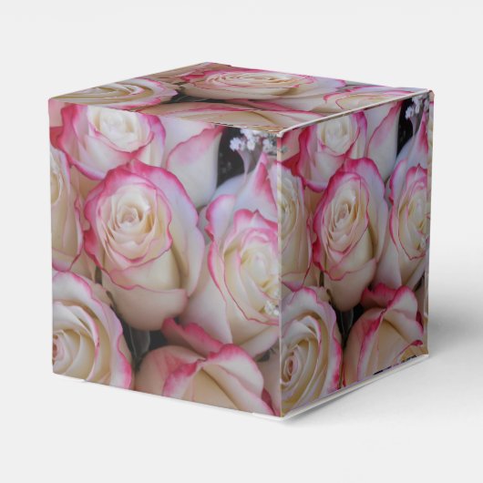 Ballotins Thamar (Arrière)