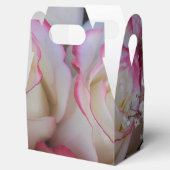 Ballotins Thamar (Ouvert)