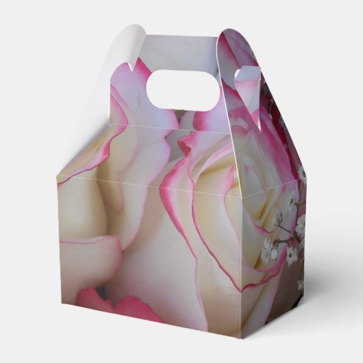 Ballotins Thamar (Verso)