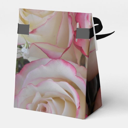 Ballotins Thamar (Arrière)