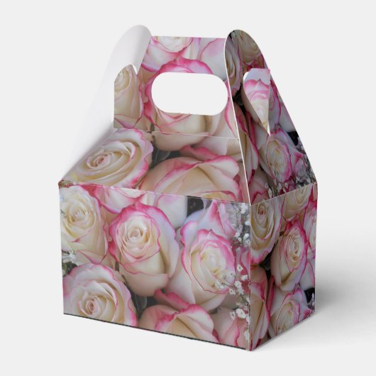 Ballotins Thamar (Arrière)