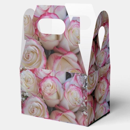 Ballotins Thamar (Ouvert)