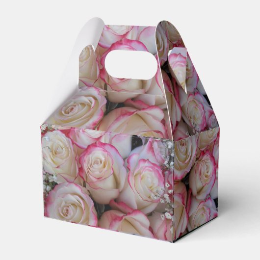 Ballotins Thamar (Verso)