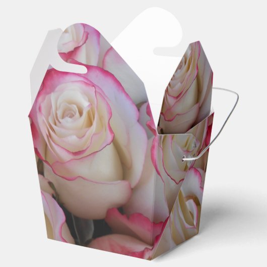 Ballotins Thamar (Ouvert)