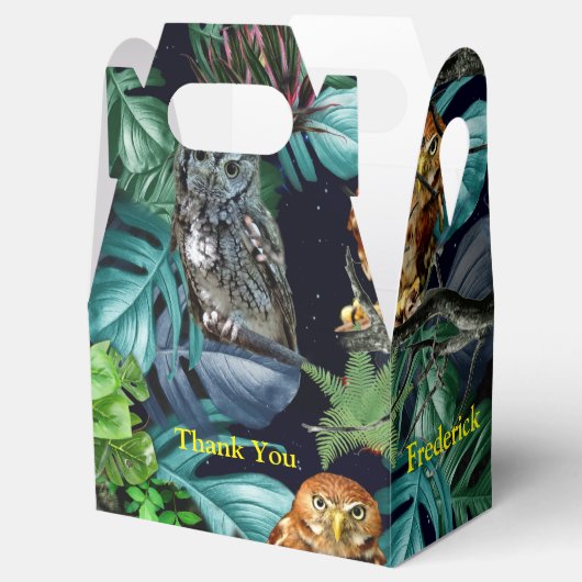 Ballotins Thème de fête nocturne (Ouvert)