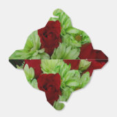 Ballotins Thomasse (Déplié)