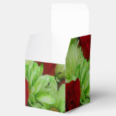 Ballotins Thomasse (Ouvert)