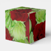 Ballotins Thomasse (Arrière)