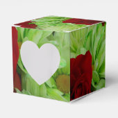 Ballotins Thomasse (Verso)