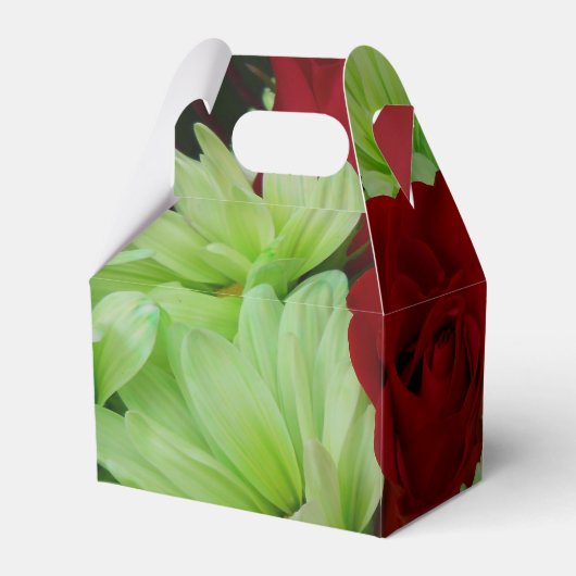 Ballotins Thomasse (Arrière)