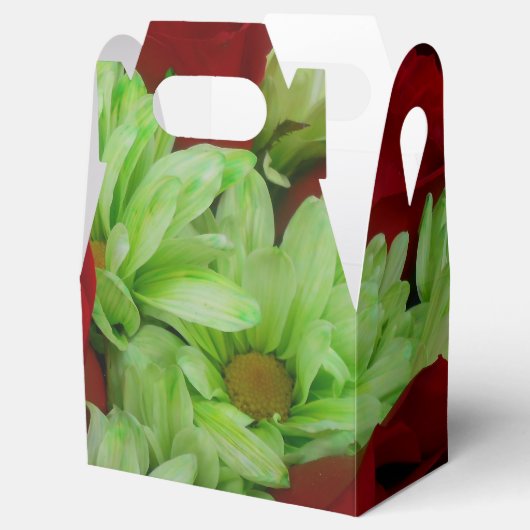 Ballotins Thomasse (Ouvert)