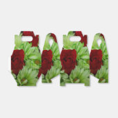 Ballotins Thomasse (Déplié)