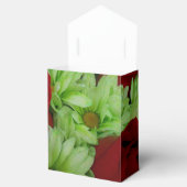 Ballotins Thomasse (Ouvert)