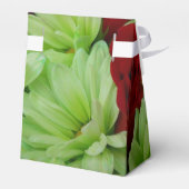 Ballotins Thomasse (Arrière)