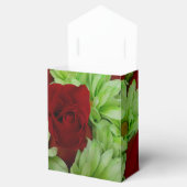 Ballotins Thomasse (Ouvert)