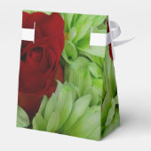 Ballotins Thomasse (Arrière)