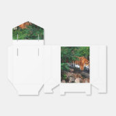 Ballotins Tigre à la chute (Déplié)