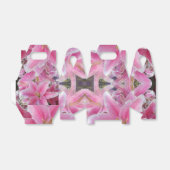 Ballotins Tommasina (Déplié)