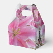 Ballotins Tommasina (Arrière)