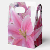 Ballotins Tommasina (Ouvert)