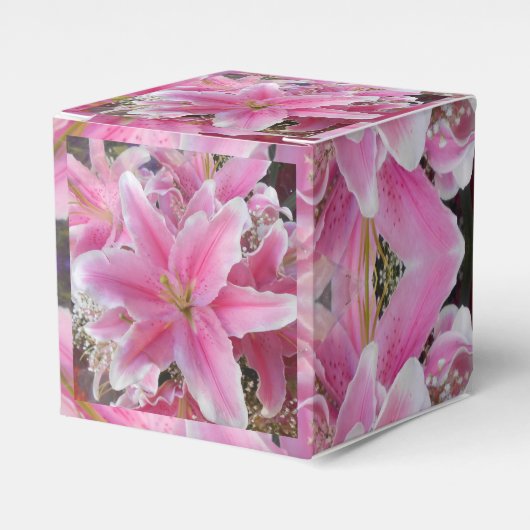 Ballotins Tommasina (Verso)