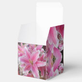 Ballotins Tommasina (Ouvert)