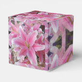 Ballotins Tommasina (Arrière)