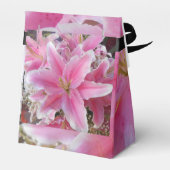 Ballotins Tommasina (Arrière)