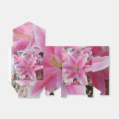 Ballotins Tommasina (Déplié)