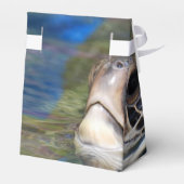 Ballotins Tortue de mer (Arrière)