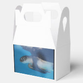 Ballotins Tortue de mer (Ouvert)