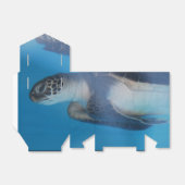 Ballotins Tortue de mer (Déplié)