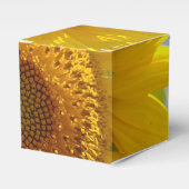 Ballotins Tournesol jaune (Verso)