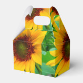 Ballotins Tournesol vif (Verso)