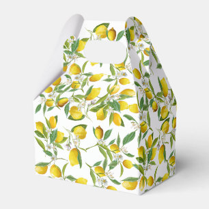 Ballotins Tropical Citrus été frais Orange lemon Slice