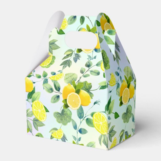 Ballotins Tropical Citrus été frais Orange lemon Slice (Arrière)