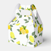 Ballotins Tropical Citrus été frais Orange lemon Slice (Arrière)