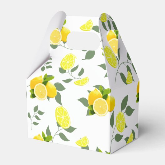 Ballotins Tropical Citrus été frais Orange lemon Slice (Verso)