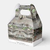 Ballotins Trunk I Hooo... (Arrière)