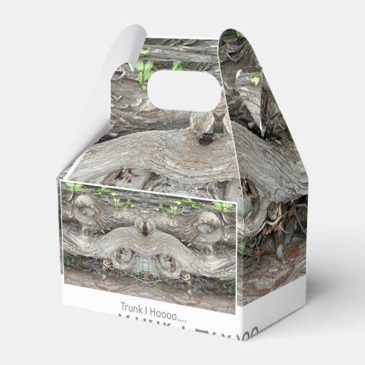 Ballotins Trunk I Hooo... (Verso)