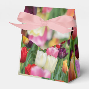 Ballotins Tulip Fleurs de printemps Jardin Floral Jaune rose
